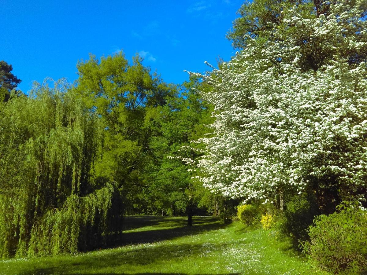 Вилла Moulin De Saint Cricq Экстерьер фото