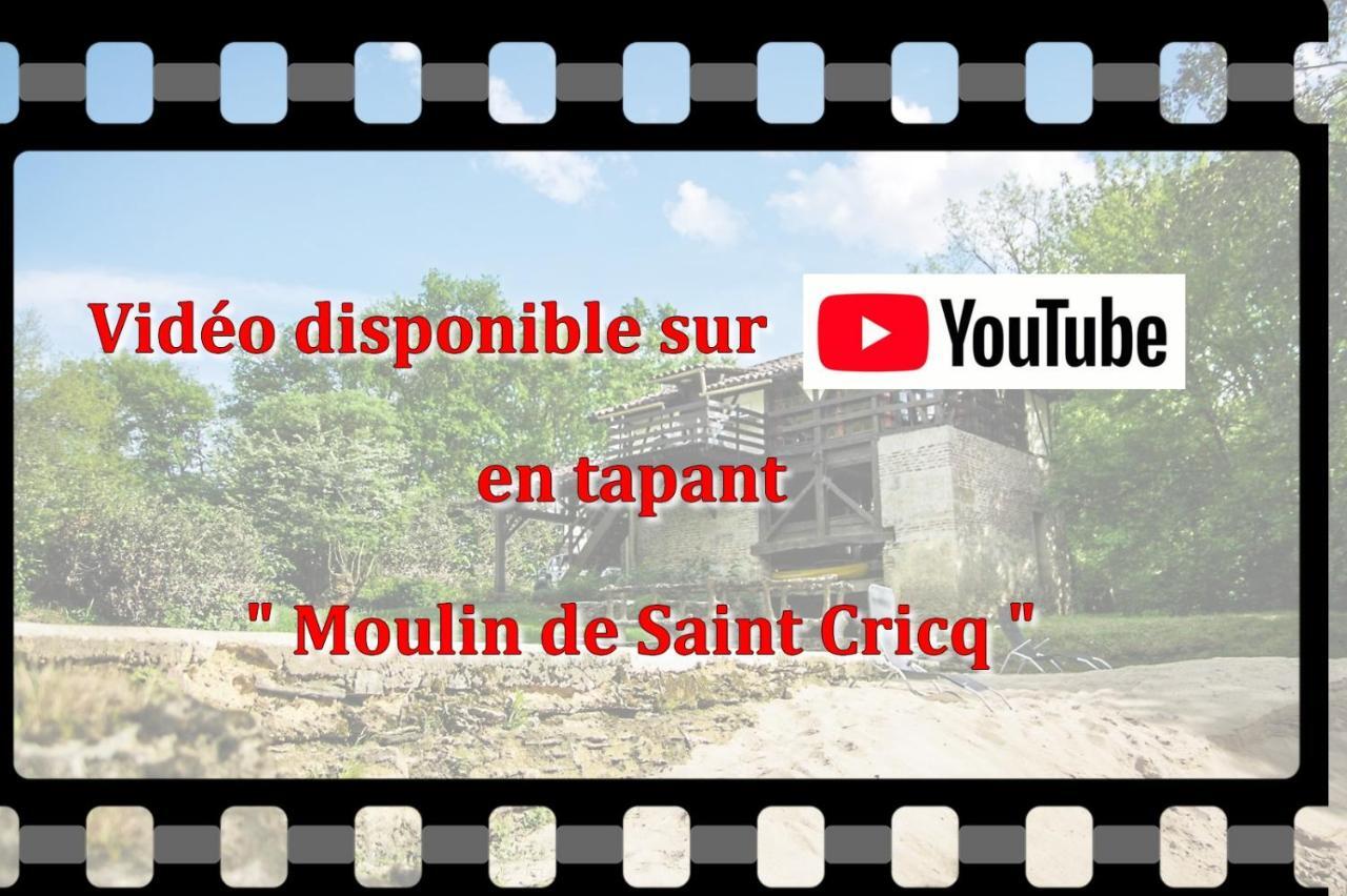 Вилла Moulin De Saint Cricq Экстерьер фото